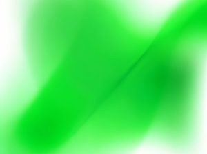 c20xlcd1-300x224